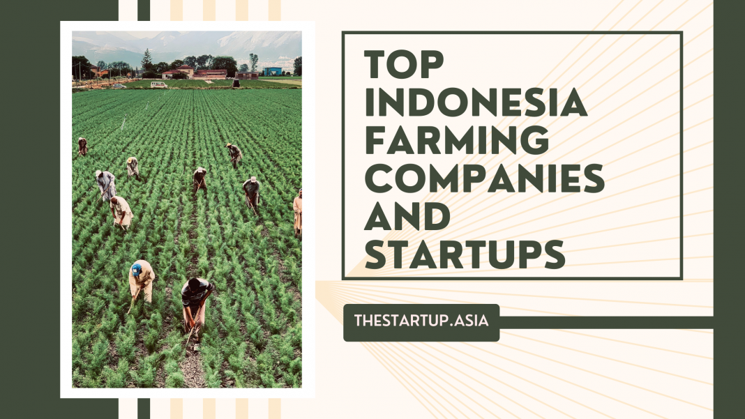 TOP INDONESIA FARMING COMPANIES AND STARTUPS