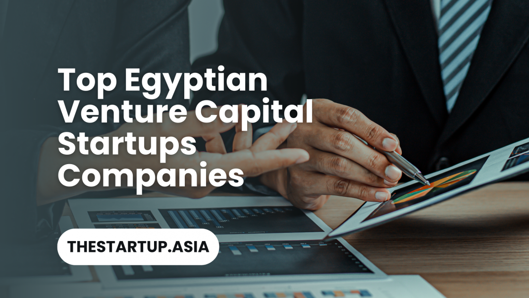 Top Egyptian Venture Capital Startups Companies